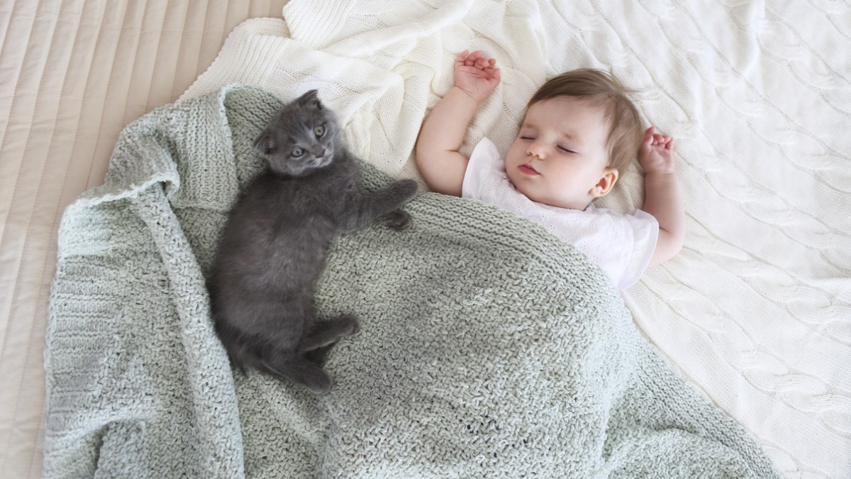 Il propose à sa femme de donner à leur bébé... le nom de leur chat