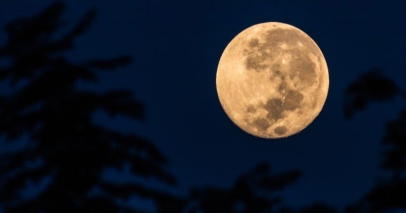 Ce soir, ne ratez pas une nouvelle super Lune qui va illuminer le ciel