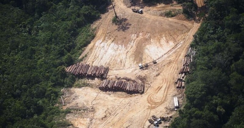 Des indigènes d'Amazonie remportent un procès historique contre la déforestation	