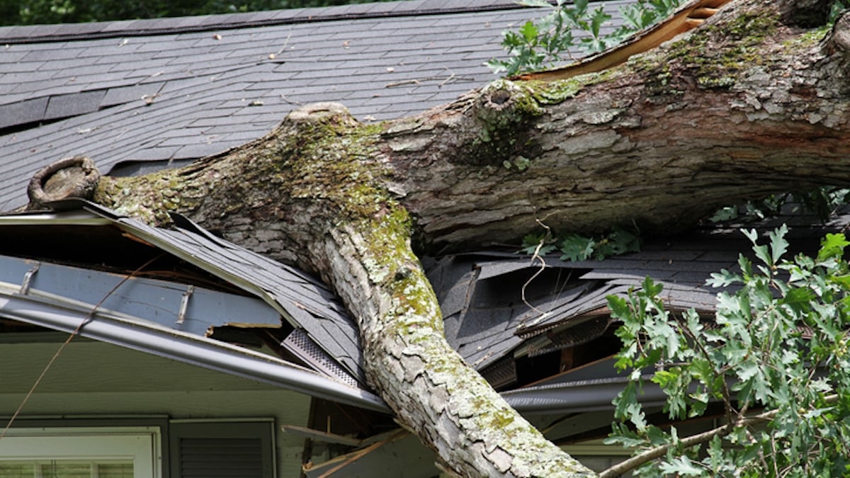 Tempête Ciaran : pouvez-vous être indemnisé par votre assurance en cas de dommages ?