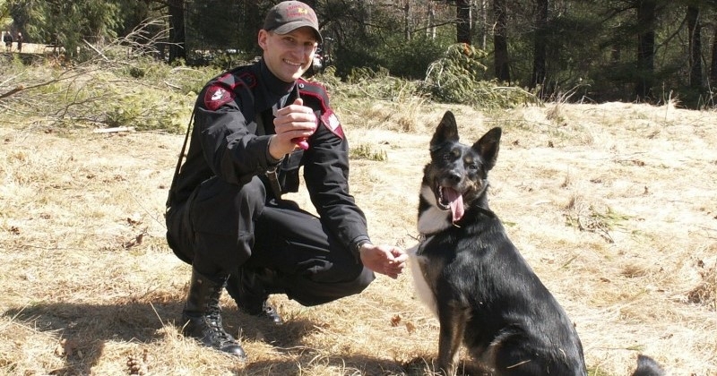 Une chienne abandonnée cinq fois dans un refuge a intégré la police et a sauvé un petit garçon