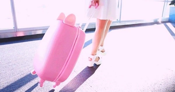 Cette valise connectée ressemble à un chat et agit comme tel : y en a qui vont la vouloir à tout prix !