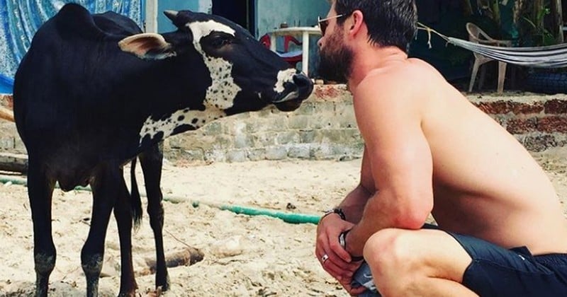 13 photos de Chris Hemsworth qui montrent que c'est l'acteur le plus cool sur Instagram