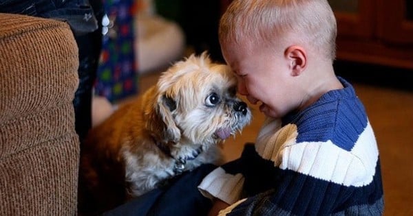 25 photos qui montrent bien que tout enfant doit avoir un animal de compagnie