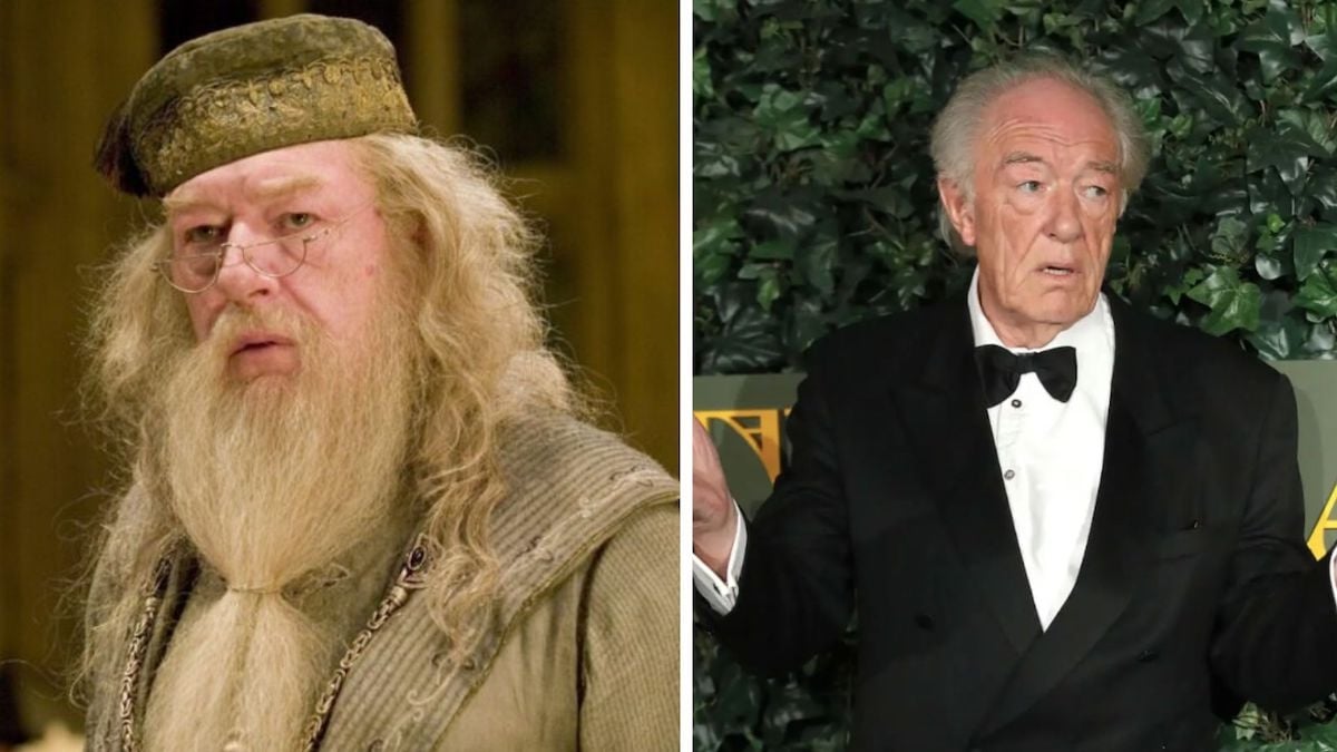 Mort de Michael Gambon, interprète de Dumbledore dans Harry Potter, à l’âge de 82 ans