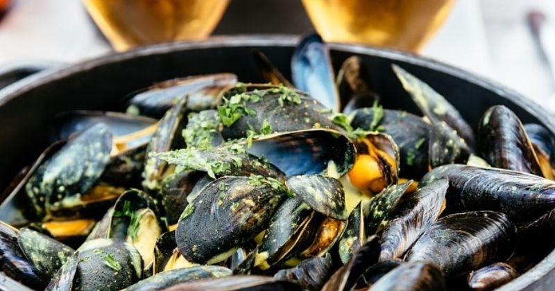 15 recettes variées pour cuisiner les moules