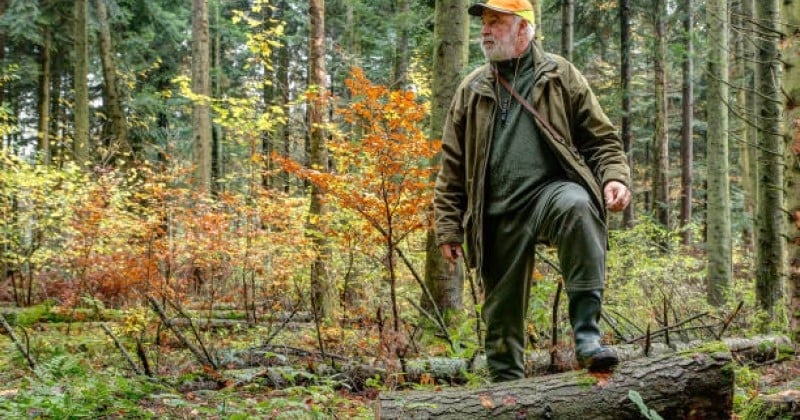 Un chasseur abat des peupliers et des chênes vieux de 40 ans sur un terrain protégé pour avoir plus de visibilité