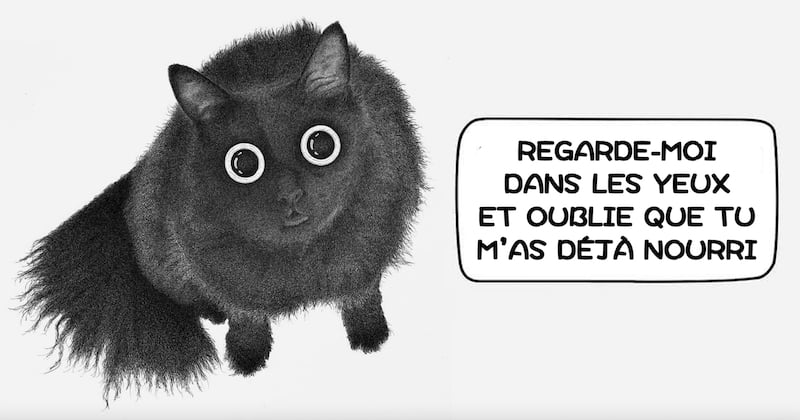 14 illustrations drôles et savoureuses sur ce que pensent nos chats