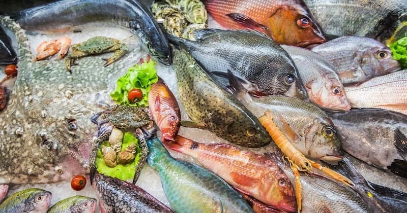 Selon UFC-Que Choisir, 9 poissons sur 10 vendus en grande surface sont issus d'une « pêche non-durable »