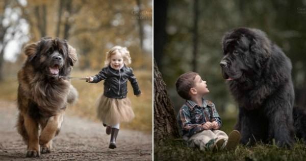 20 photographies sublimes d'enfants tout-petits et leurs gros chiens
