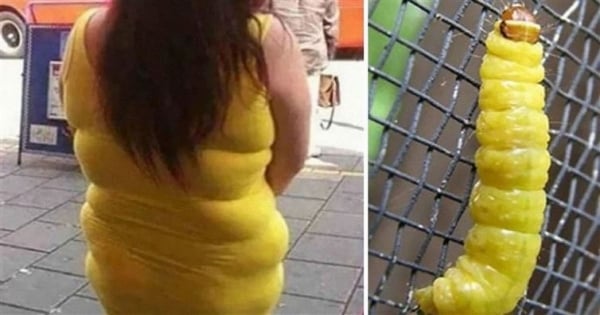 17 ressemblances improbables qui prouvent que le hasard fait très bien les choses !