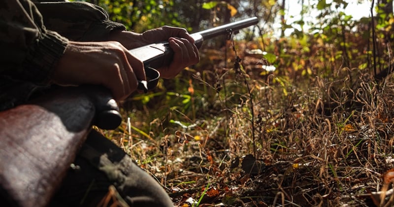 Le gouvernement n'interdira pas la chasse le dimanche mais va punir les chasseurs sous l'emprise de l'alcool	