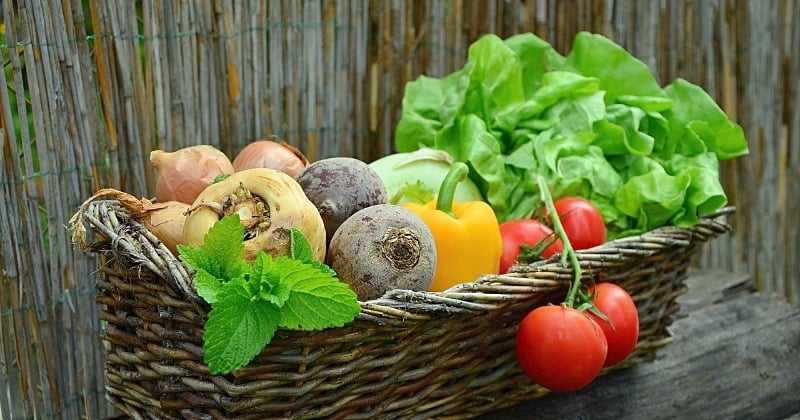 5 légumes qu'il faut arrêter de mettre dans le réfrigérateur