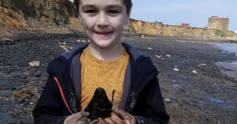 Un petit garçon de 6 ans a trouvé une dent de requin mégalodon en cherchant des coquillages sur une plage