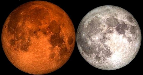« Lune de Sang » : ce phénomène astronomique rare aura lieu ce week-end ! Soyez attentif !