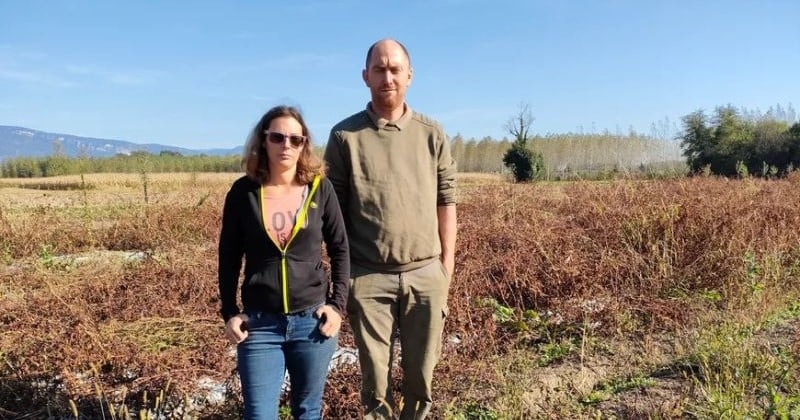 Isère : des agriculteurs se font voler la moitié de leur récolte annuelle, une cagnotte en ligne est créée pour les aider	