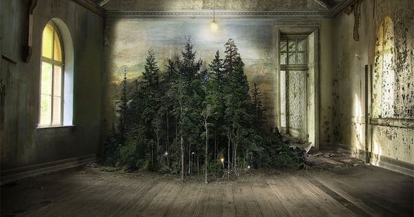 Découvrez les superbes photomontages de cette artiste qui mélange forêts et espaces intérieurs avec une technique vieille de plus de cent ans !