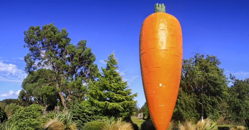 Cette sculpture géante en forme de carotte a été installée à Mulhouse pour une bonne raison 