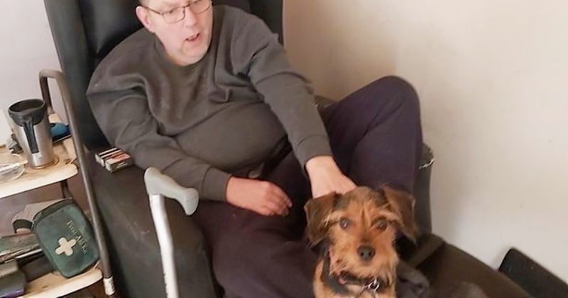 Ce chien a sauvé la vie de son maître en lui faisant un massage cardiaque