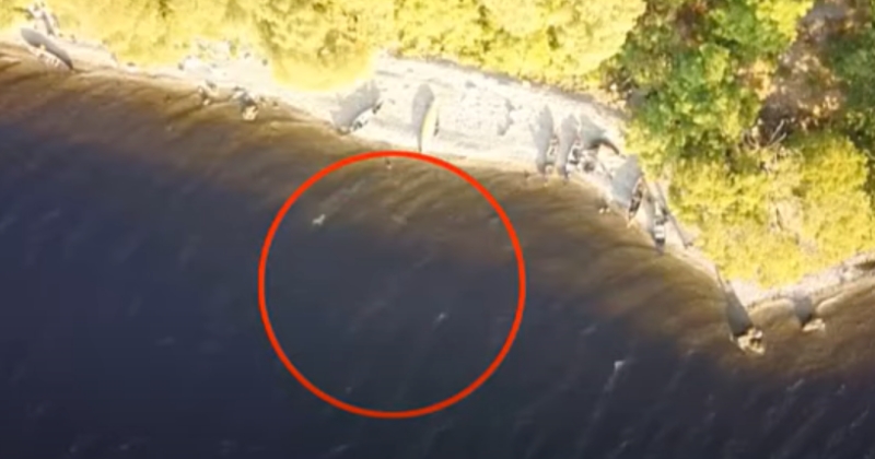 Le monstre du Loch Ness filmé par un drone ?