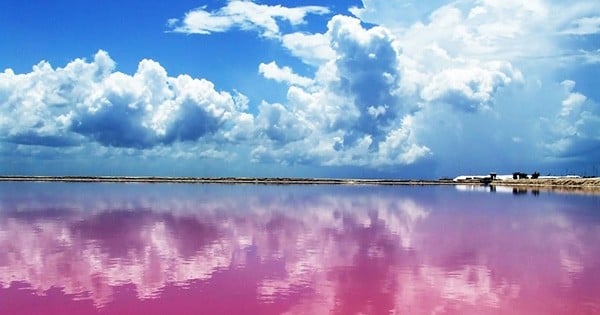 Non, il ne s'agit pas d'un conte de fées : le lagon Las Coloradas est le plus bel  endroit du monde, et ces photos vont vous le prouver