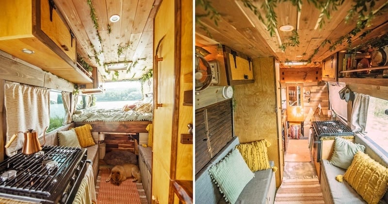 Aux États-Unis, deux femmes ont rénové un van pour mener une vie de nomade avec leurs chiens 
