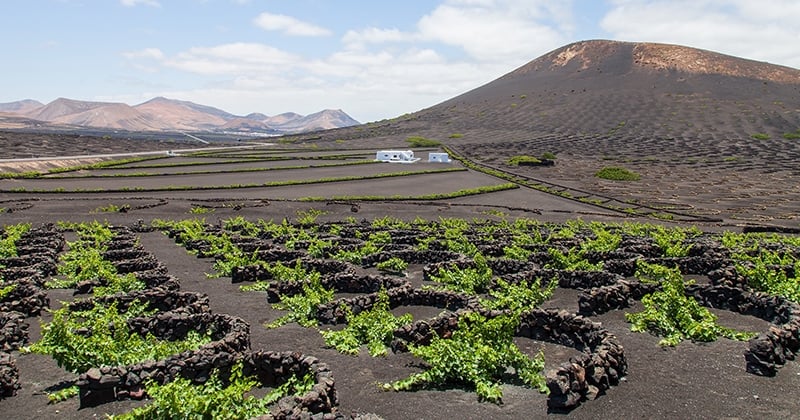 Top 13 choses à faire à Lanzarote pendant votre voyage