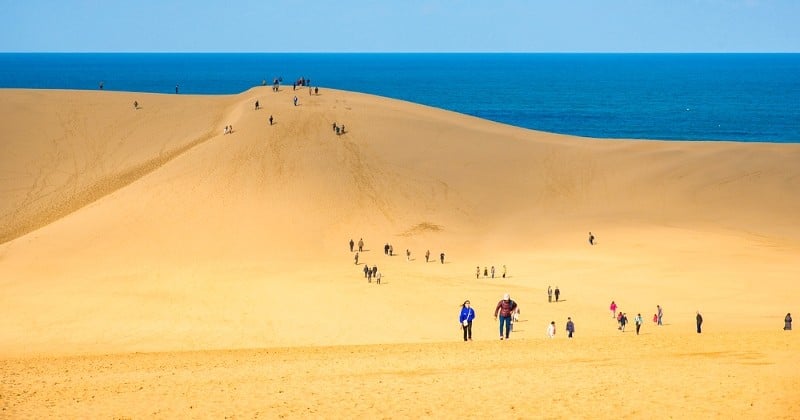 Au Japon, on connaît le Mont Fuji, les temples et les mégalopoles... Mais pas les fantastiques dunes de Tottori, un décor Miyazakien sorti de nulle part