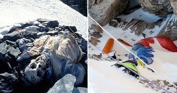 Sur la route du sommet de l'Everest, des cadavres d'anciens alpinistes servent de repères pour les autres alpinistes. Retour sur l'histoire d'une ascension mortelle !
