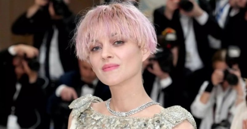 Le nouveau look de Marion Cotillard, transformée avec une coupe au bol et des cheveux roses, surprend les internautes