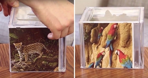 DIY : Faites-vous un « cadre 5 photos » original, en recyclant vos boîtiers de CD