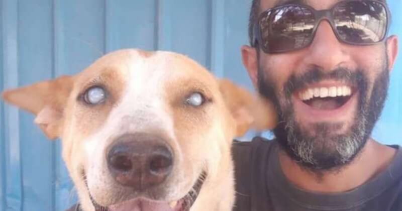 Dans un refuge pour animaux, un chien aveugle se précipite vers son sauveur lorsqu'il entend sa voix