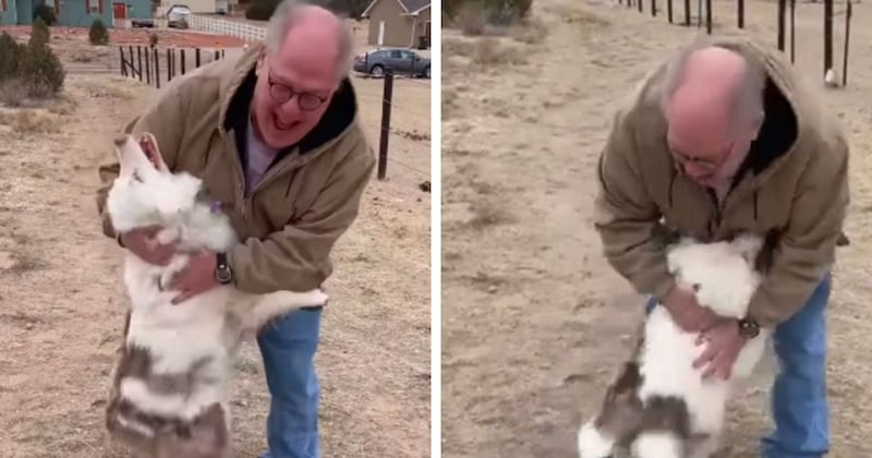 Après un an de séparation, une chienne aveugle et sourde reconnaît immédiatement son grand-père humain 