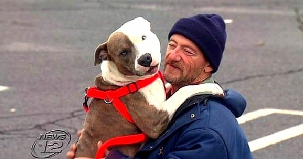 Quand on lui a dit qu'il devait se séparer de son pitbull s'il voulait s'en sortir, cet homme a fait son choix sans une seconde d'hésitation ! Quelle fidélité, un exemple pour nous tous...