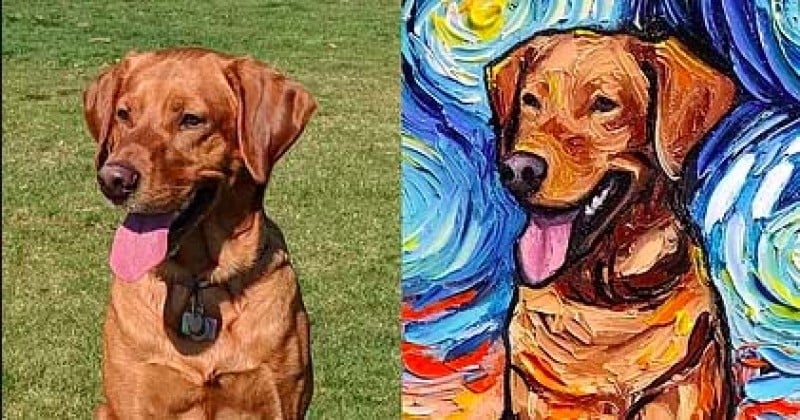 Elle réinvente « La Nuit Étoilée » de Van Gogh en y intégrant des chiens