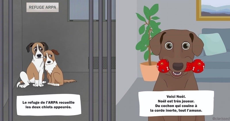 Ces bandes dessinées touchantes racontent l'histoire de chiens accueillis dans un refuge