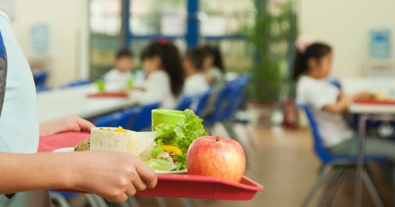 Grenoble : des parents d'élèves en colère alors qu'un tiramisu alcoolisé a été servi dans des cantines scolaires