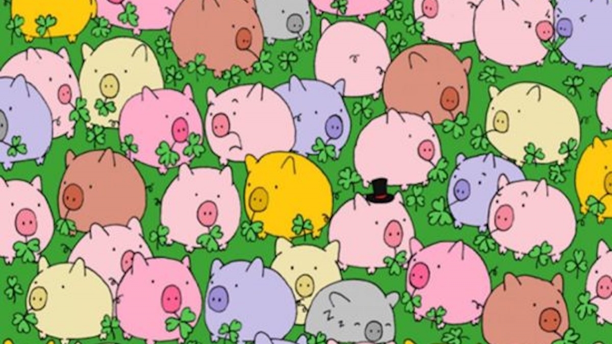 Enigme visuelle : voyez-vous le trèfle à quatre feuilles au milieu de ces cochons ?