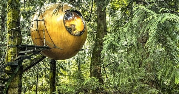 Passer la nuit dans les arbres, vous en avez toujours rêvé ? C'est maintenant possible grâce à cet hôtel au concept unique : préparez-vous !