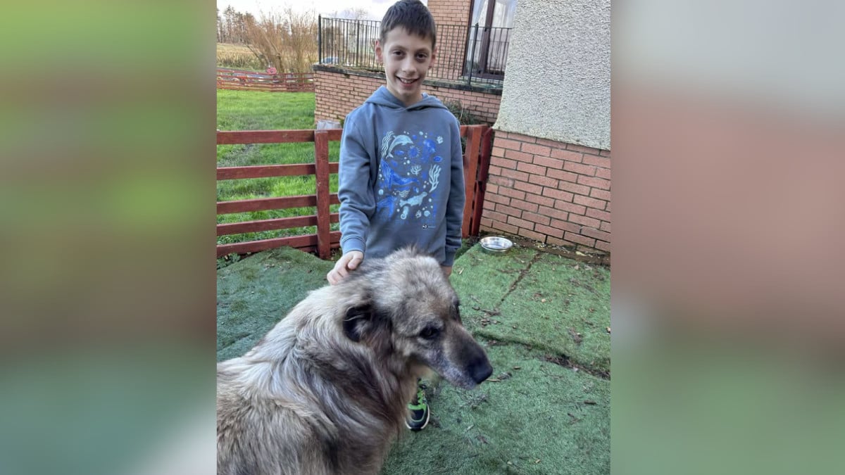 « Un merveilleux jeune homme » : à 10 ans, il donne tout l'argent qu'il a économisé à un refuge animalier