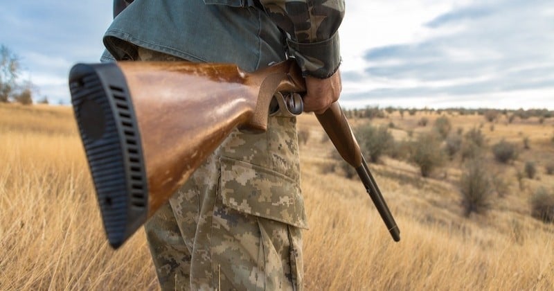 Les sénateurs votent un délit d'entrave à la chasse punissant de 30 000 euros d'amende tous contrevenants 