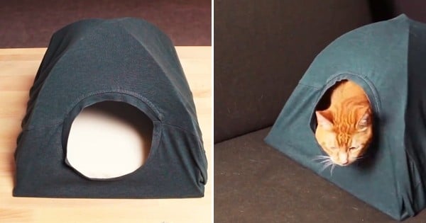 DIY : Réalisez une cabane toute simple pour votre chat ! Il va adorer !