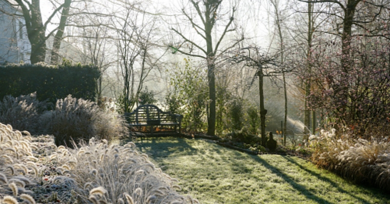 Comment bien entretenir son jardin en hiver ?