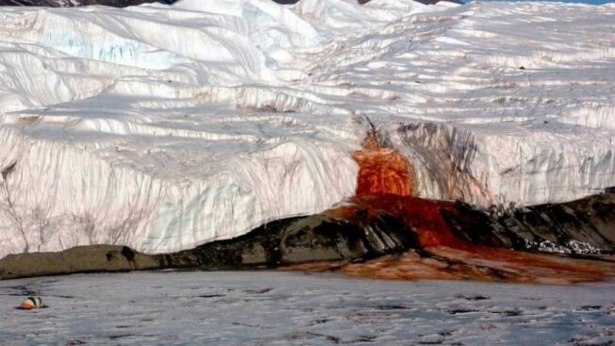 D'où viennent ces «Cascades de sang» en Antarctique ? Le mystère scientifique enfin élucidé !