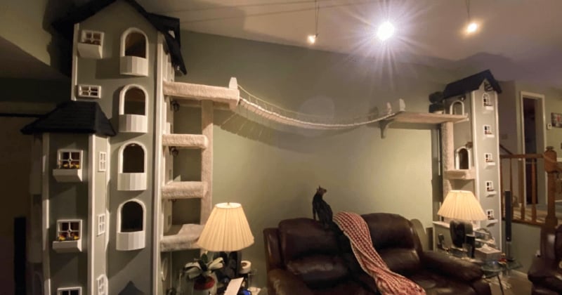 Pendant le confinement, ce bricoleur créatif a construit un arbre à chat unique au monde	avec deux tours