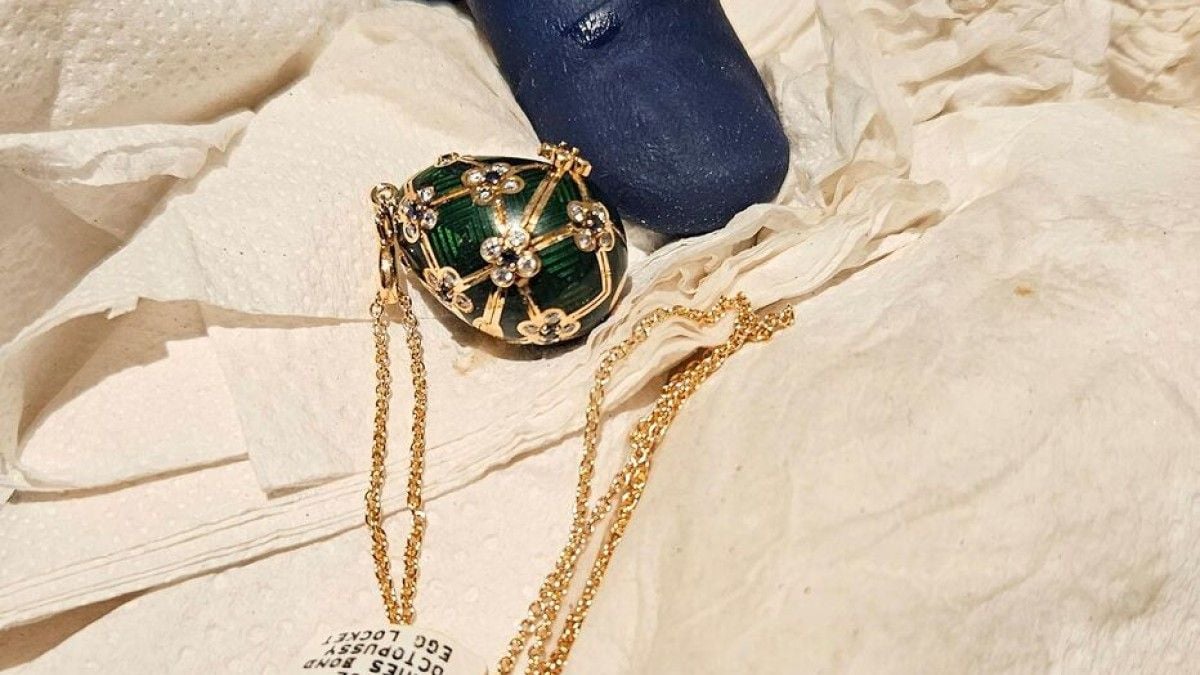 Le pendentif de 20 000 dollars avalé par un voleur a été récupéré par la police 