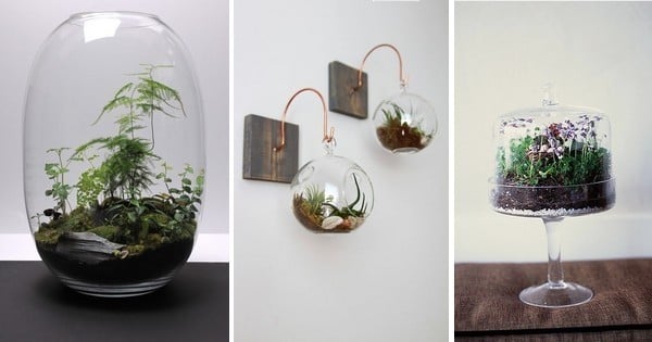 27 idées créatives pour réaliser de superbes terrariums, pour votre décor d'intérieur