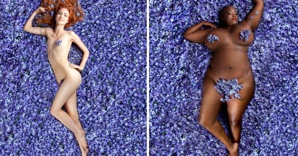 Et si de vraies femmes, non retouchées, posaient comme l'affiche d'American Beauty ? Ca donnerait ça !