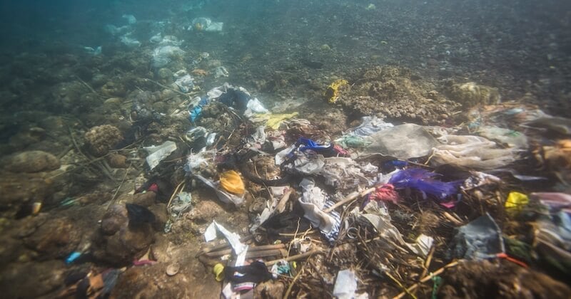 En 2040, la pollution plastique dans les océans pourrait tripler et dépasser le nombre de poissons