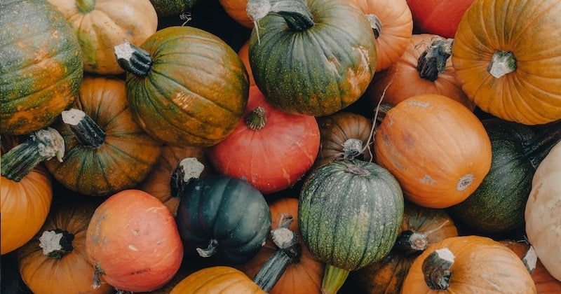 Comment éplucher une courge facilement ? - Marie Claire